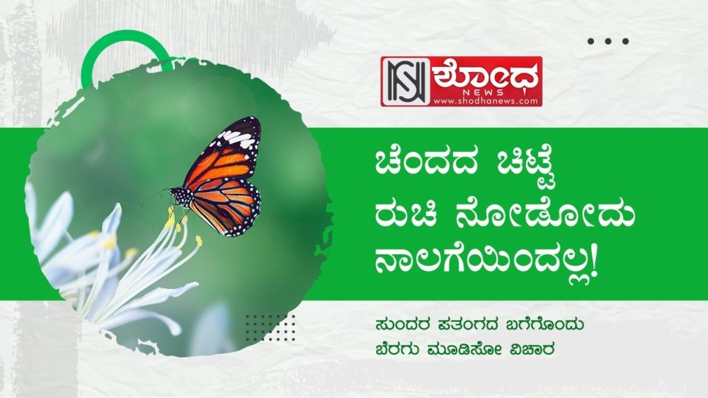ಚೆಂದದ ಚಿಟ್ಟೆ ರುಚಿ ನೋಡೋದು ನಾಲಗೆಯಿಂದಲ್ಲ!