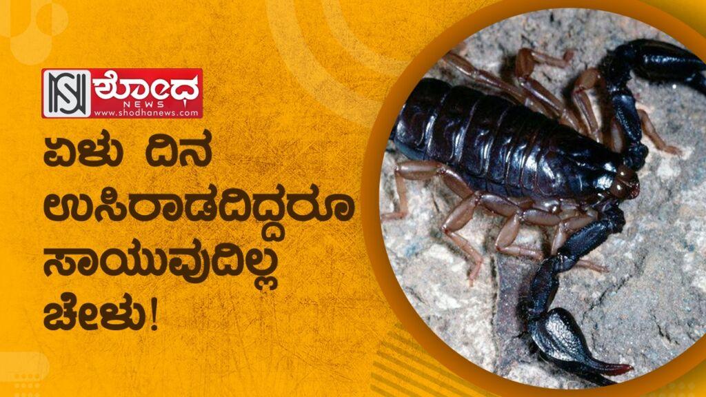 ಇದು ಜೀವ ಜಗತ್ತಿನ ಅಸೀಮ ಅಚ್ಚರಿ!