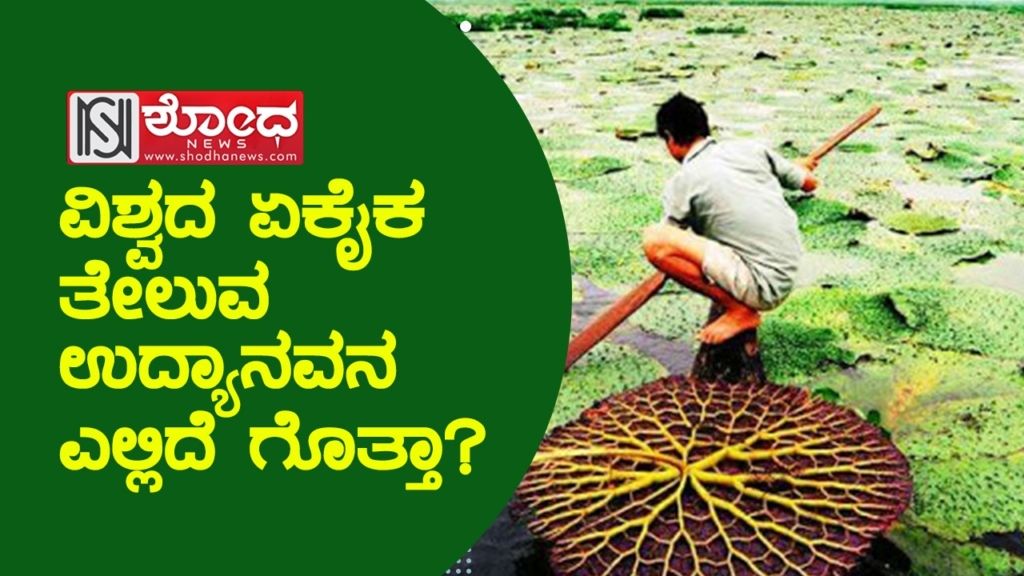 ವಿಶ್ವದ ಏಕೈಕ ತೇಲುವ ಉದ್ಯಾನವನ ಎಲ್ಲಿದೆ ಗೊತ್ತಾ?