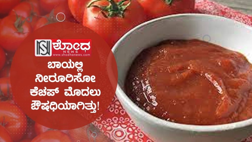 ಬಾಯಲ್ಲಿ ನೀರೂರಿಸೋ ಕೆಚಪ್ ಮೊದಲು ಔಷಧಿಯಾಗಿತ್ತು!