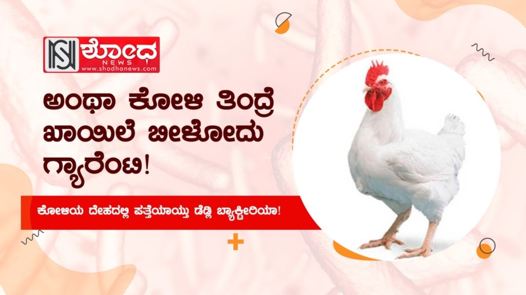 ಕೋಳಿಯ ದೇಹದಲ್ಲಿ ಪತ್ತೆಯಾಯ್ತು ಡೆಡ್ಲಿ ಬ್ಯಾಕ್ಟೀರಿಯಾ!