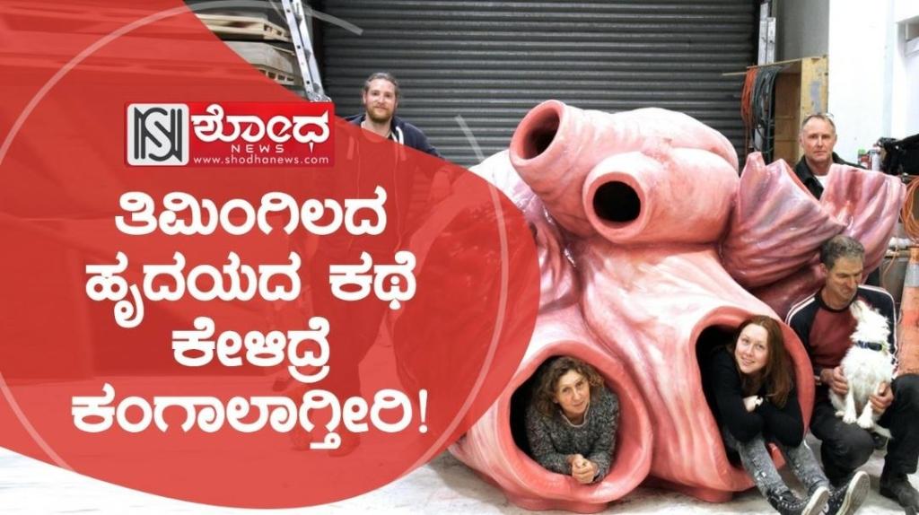 biggest whale heart: ತಿಮಿಂಗಿಲದ ಹೃದಯದ ಕಥೆ ಕೇಳಿದ್ರೆ ಕಂಗಾಲಾಗ್ತೀರಿ!